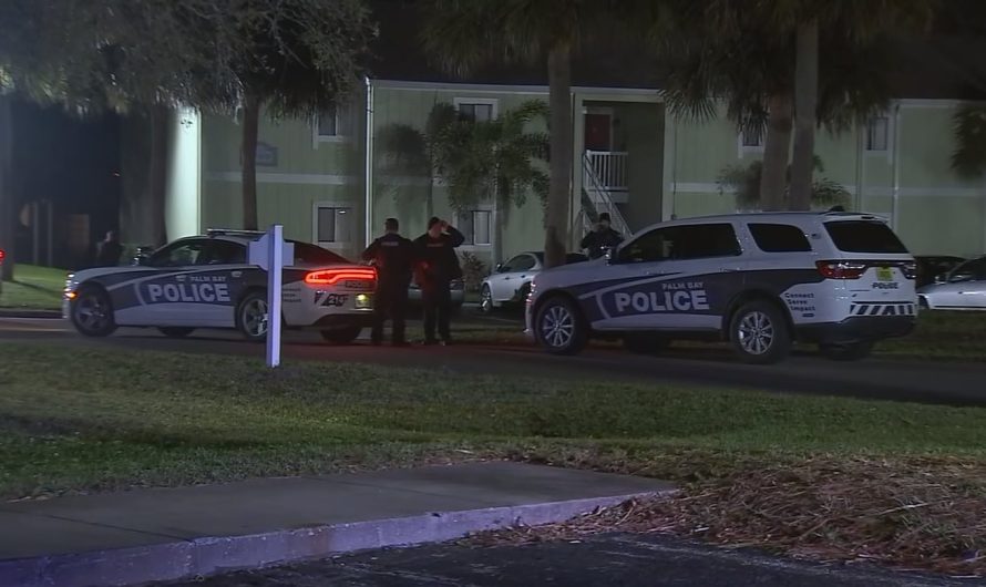 Three Dead, Two Injured in Palm Bay Apartment Shooting: Lisa Suglam, Angella Suglam, and Stephen Suglam Identified as Victims