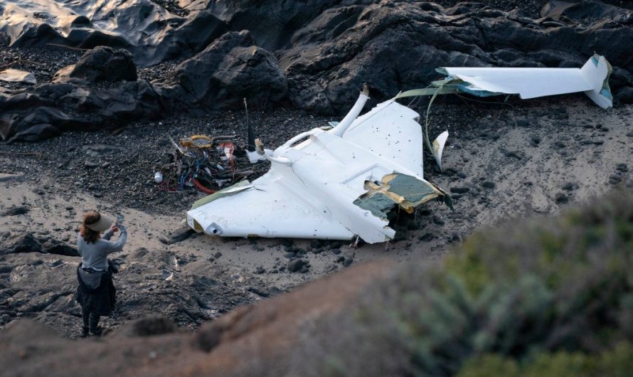 Tragic Plane Crash Claims Life of Isaac Zimmern in Half Moon Bay
